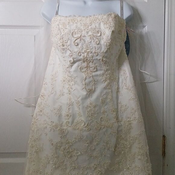 Alfred Angelo 1774NT Ivory  HiLo Lace Wedding Dress and wedding veil  Sz 18 - Picture 3 of 15